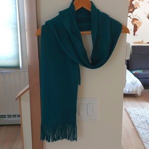 GAP Teal Winter Scarf